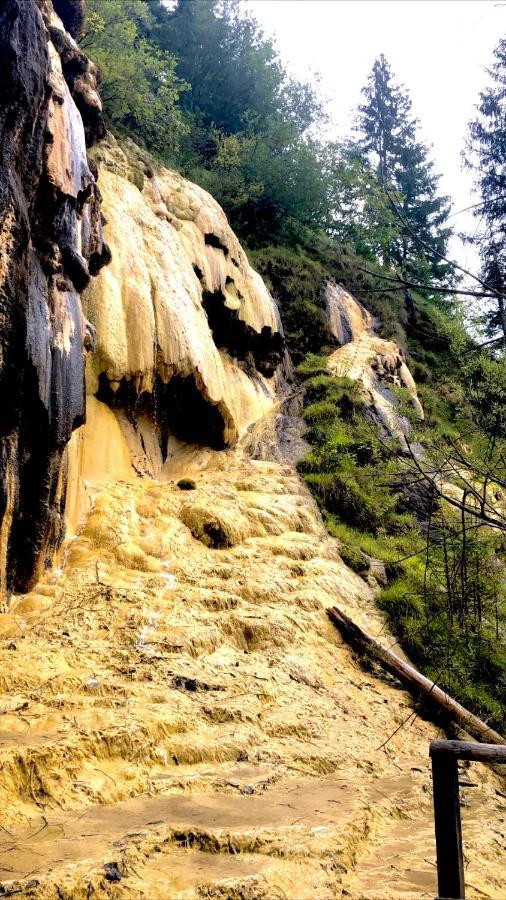 Bergoase Hohenegg Βίλα Lingenau Εξωτερικό φωτογραφία